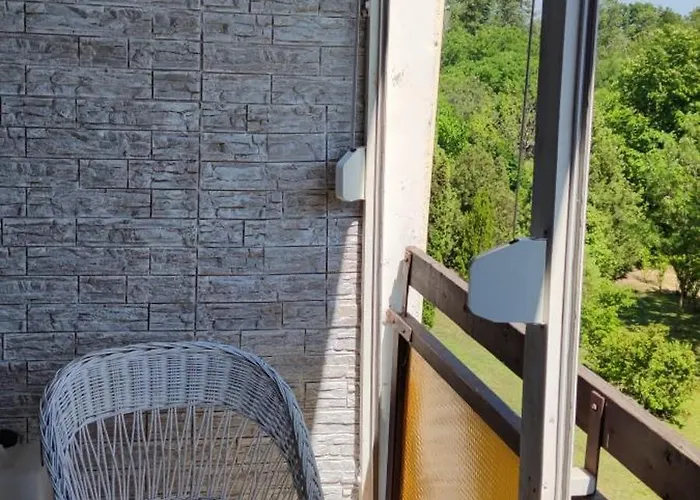 Pitypang * Balatonfüred